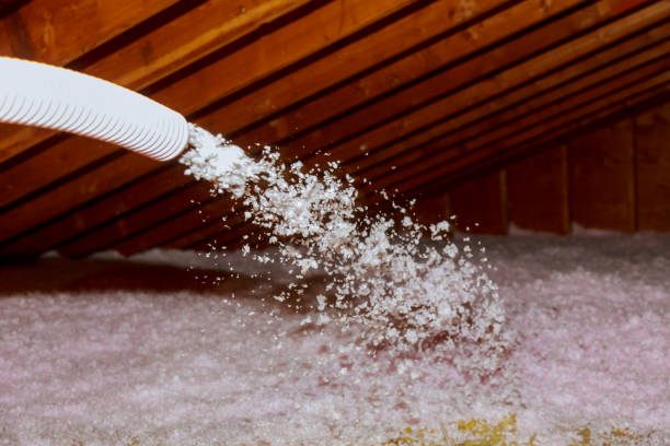 Types of Insulation We Offer in Virginia Gardens, FL